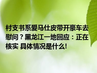 村支书系爱马仕皮带开豪车去慰问？黑龙江一地回应：正在核实 具体情况是什么!