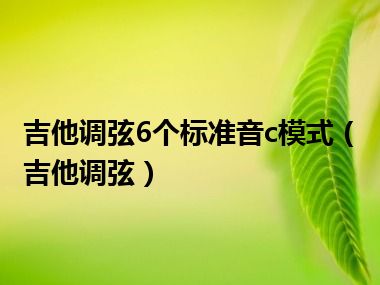 吉他调弦6个标准音c模式（吉他调弦）