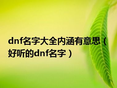 dnf名字大全内涵有意思（好听的dnf名字）