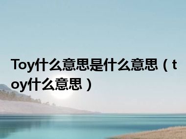 Toy什么意思是什么意思（toy什么意思）