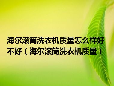 海尔滚筒洗衣机质量怎么样好不好（海尔滚筒洗衣机质量）