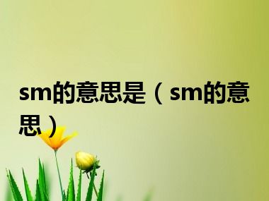 sm的意思是（sm的意思）