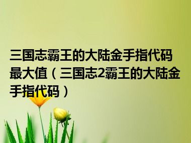 三国志霸王的大陆金手指代码最大值（三国志2霸王的大陆金手指代码）