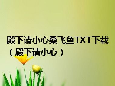 殿下请小心桑飞鱼TXT下载（殿下请小心）