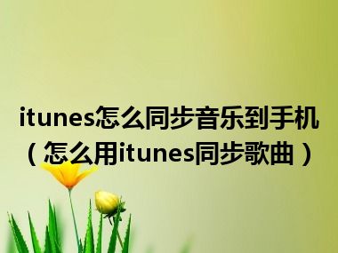 itunes怎么同步音乐到手机（怎么用itunes同步歌曲）