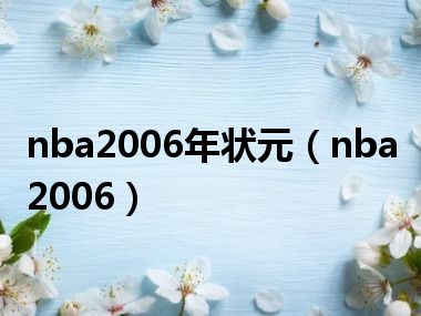 nba2006年状元（nba2006）