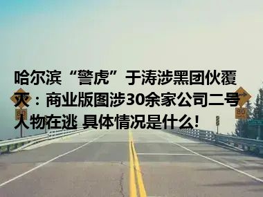 哈尔滨“警虎”于涛涉黑团伙覆灭：商业版图涉30余家公司二号人物在逃 具体情况是什么!