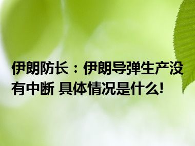 伊朗防长：伊朗导弹生产没有中断 具体情况是什么!