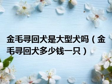 金毛寻回犬是大型犬吗（金毛寻回犬多少钱一只）