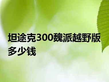 坦途克300魏派越野版多少钱