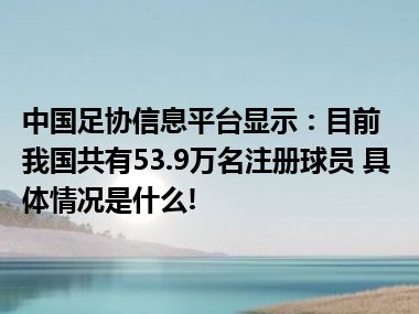 中国足协信息平台显示：目前我国共有53.9万名注册球员 具体情况是什么!