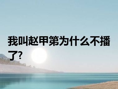 我叫赵甲第为什么不播了?