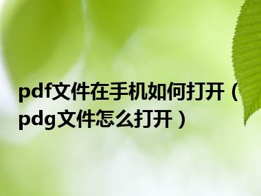 pdf文件在手机如何打开（pdg文件怎么打开）