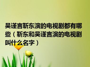 吴谨言靳东演的电视剧都有哪些（靳东和吴谨言演的电视剧叫什么名字）