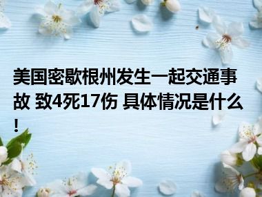 美国密歇根州发生一起交通事故 致4死17伤 具体情况是什么!