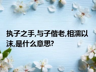 执子之手,与子偕老,相濡以沫,是什么意思?