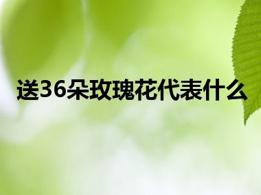 送36朵玫瑰花代表什么