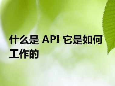 什么是 API 它是如何工作的