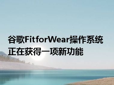 谷歌FitforWear操作系统正在获得一项新功能