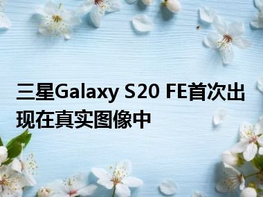 三星Galaxy S20 FE首次出现在真实图像中