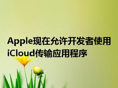 Apple现在允许开发者使用iCloud传输应用程序