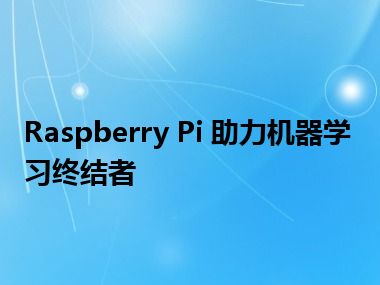 Raspberry Pi 助力机器学习终结者