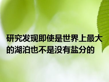 研究发现即使是世界上最大的湖泊也不是没有盐分的