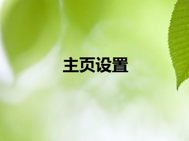 主页设置