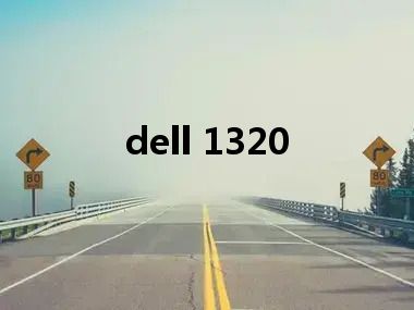 dell 1320