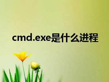 cmd.exe是什么进程