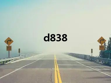 d838