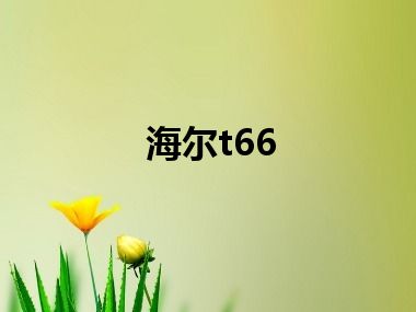 海尔t66