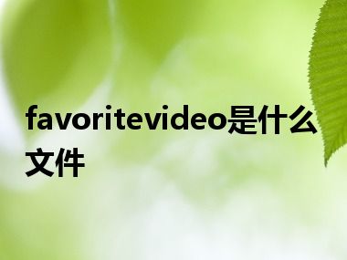 favoritevideo是什么文件