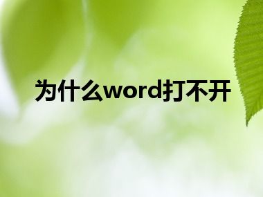 为什么word打不开