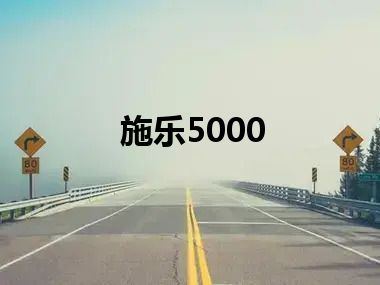 施乐5000