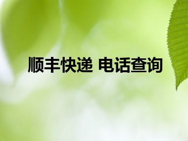 顺丰快递 电话查询