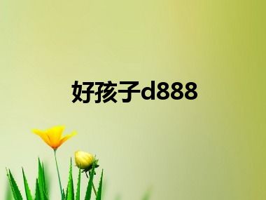 好孩子d888