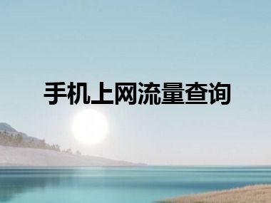 手机上网流量查询