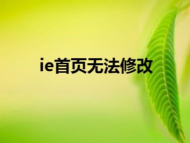 ie首页无法修改