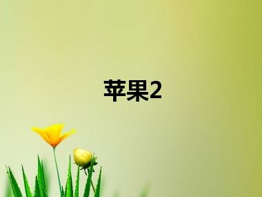 苹果2