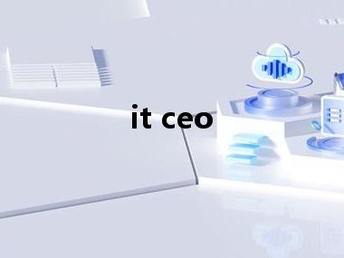 it ceo