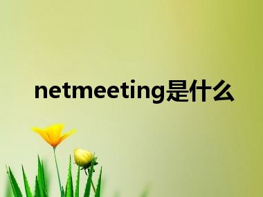 netmeeting是什么