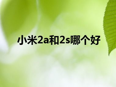 小米2a和2s哪个好