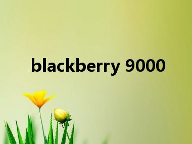 blackberry 9000