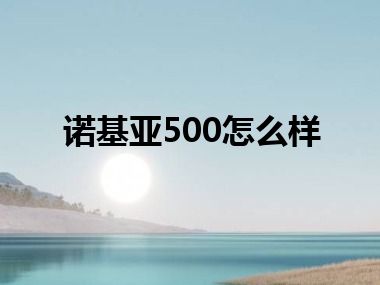 诺基亚500怎么样