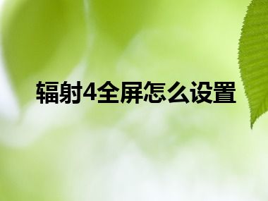 辐射4全屏怎么设置