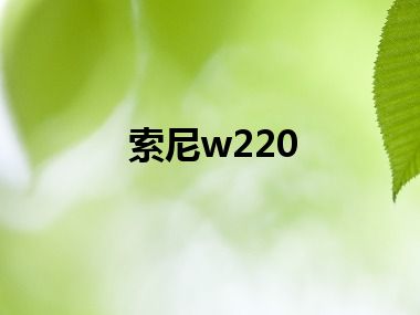 索尼w220