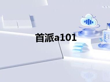 首派a101