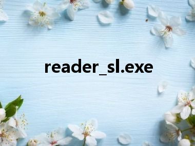 reader_sl.exe