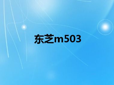 东芝m503